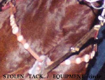 STOLEN TACK / EQUIPMENT circle y barrel saddle , Cecil Phillip's trophy saddle, Cecil Phillip's saddle, miscellaneous tack Near Forrest City, AR, 72335